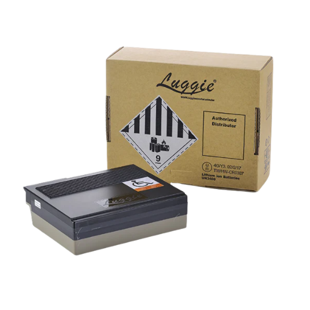 A FreeRider Luggie 16.5ah Li-ion Battery - Long Range sits in front of a brown box labeled Luggie and Authorized Distributor, with battery and handling symbols visible on the packaging.